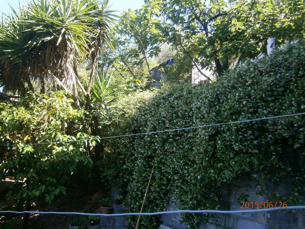 Albergo Il Cantuccio Bolano Buitenkant foto